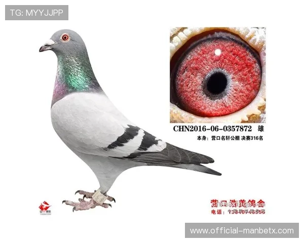 万博公司赞助的足球队取得的最新比赛成绩与未来发展规划