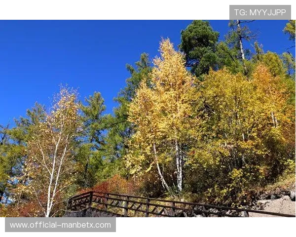 manbetx官网万博账号注册流程详细步骤指导帮助新手快速完成注册并开始游戏