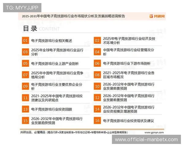 大电竞esports行业政策支持与法规环境对行业发展的推动作用